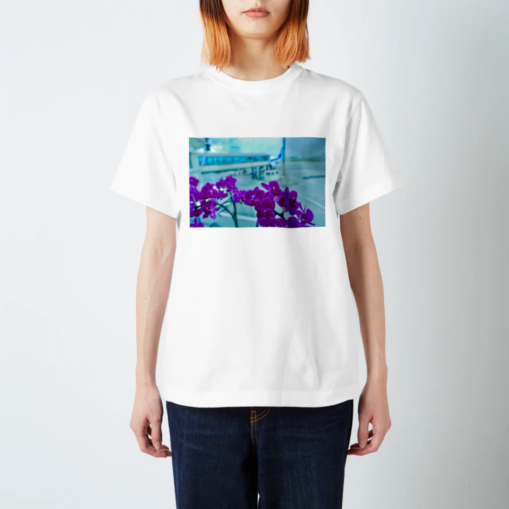 サの8月に撮った写真 スタンダードTシャツ