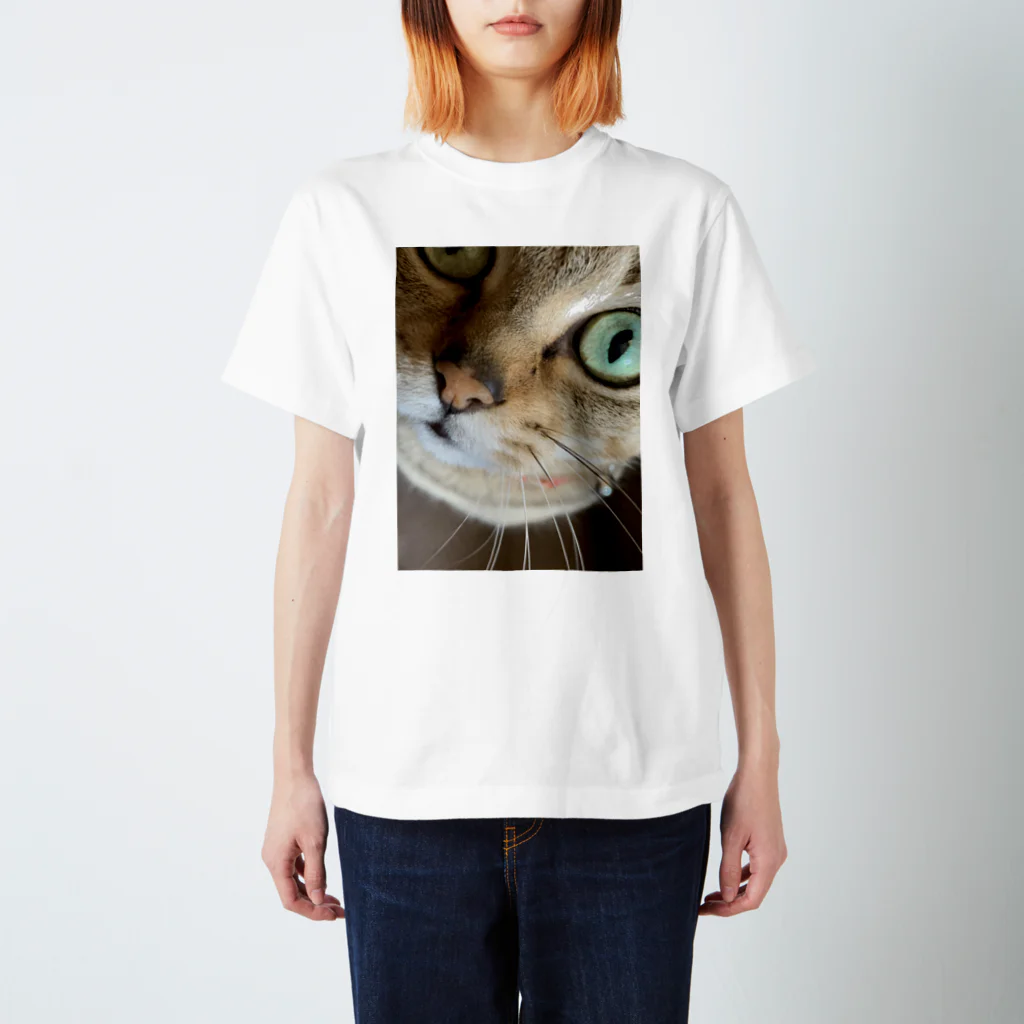 ここナッスの猫の名は、、、 Regular Fit T-Shirt