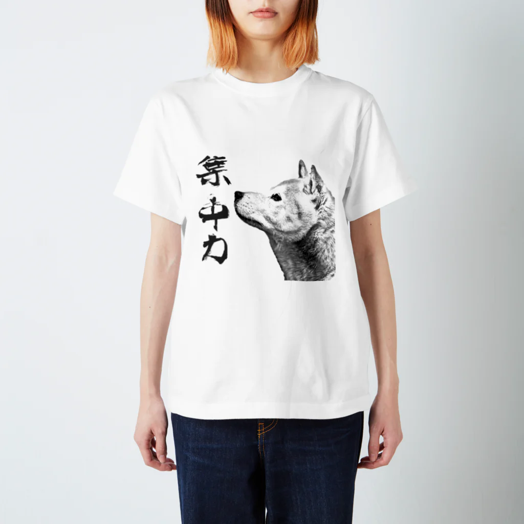 断然犬派の柴犬道「集中力」 スタンダードTシャツ