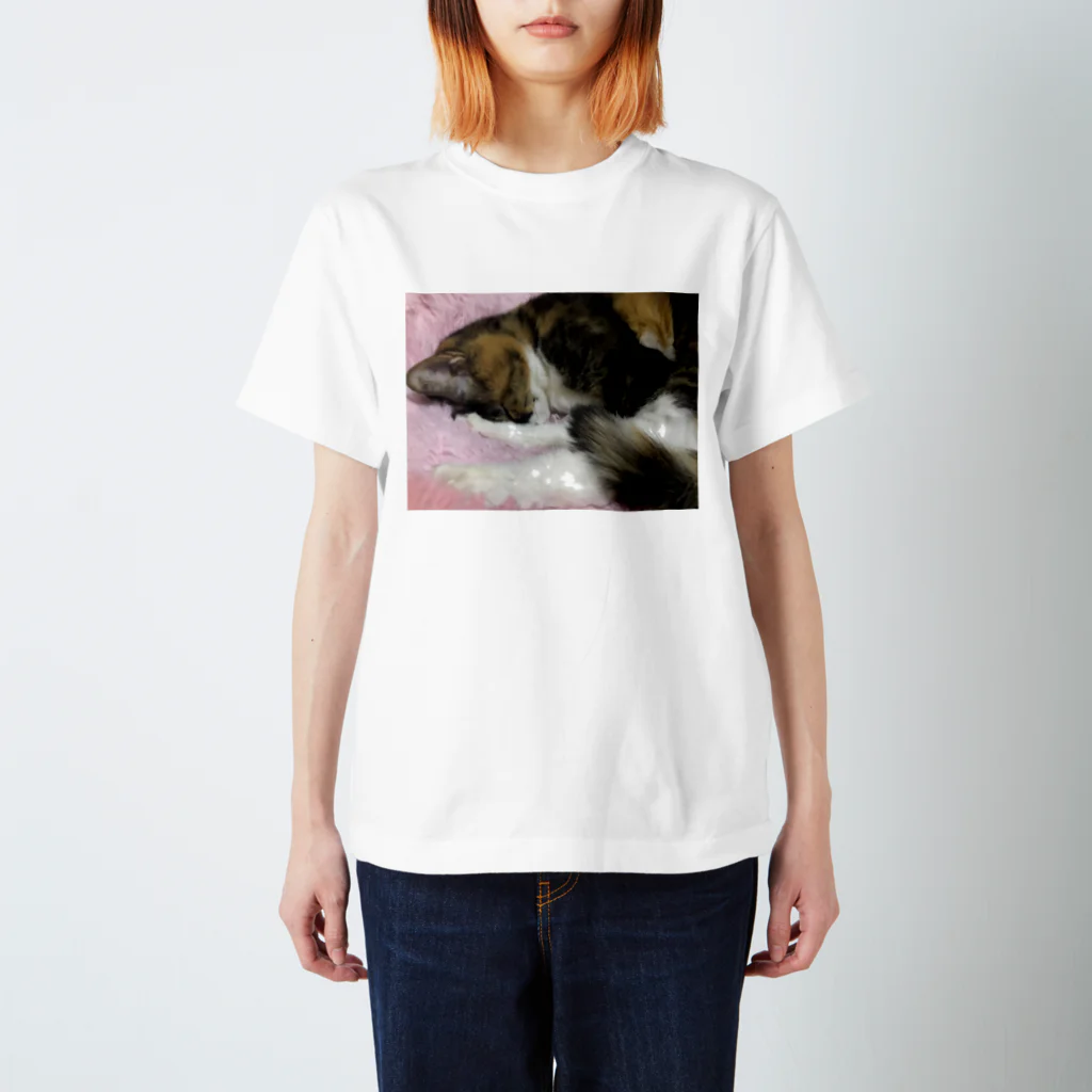 猫月♄志織♄の夢みる夢ちゃん スタンダードTシャツ