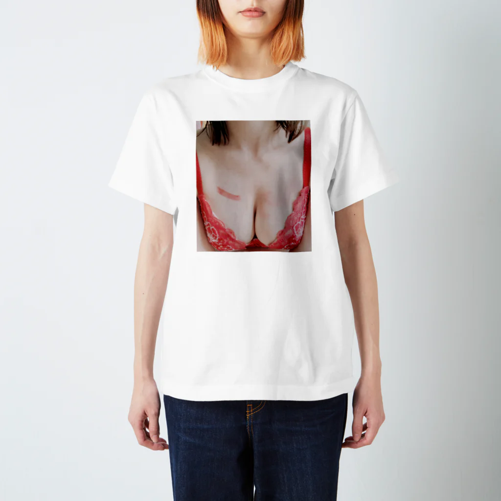 OPPAi ga IPPAi !!のOPPAi ga IPPAi !!-おっぱいがいっぱい- スタンダードTシャツ