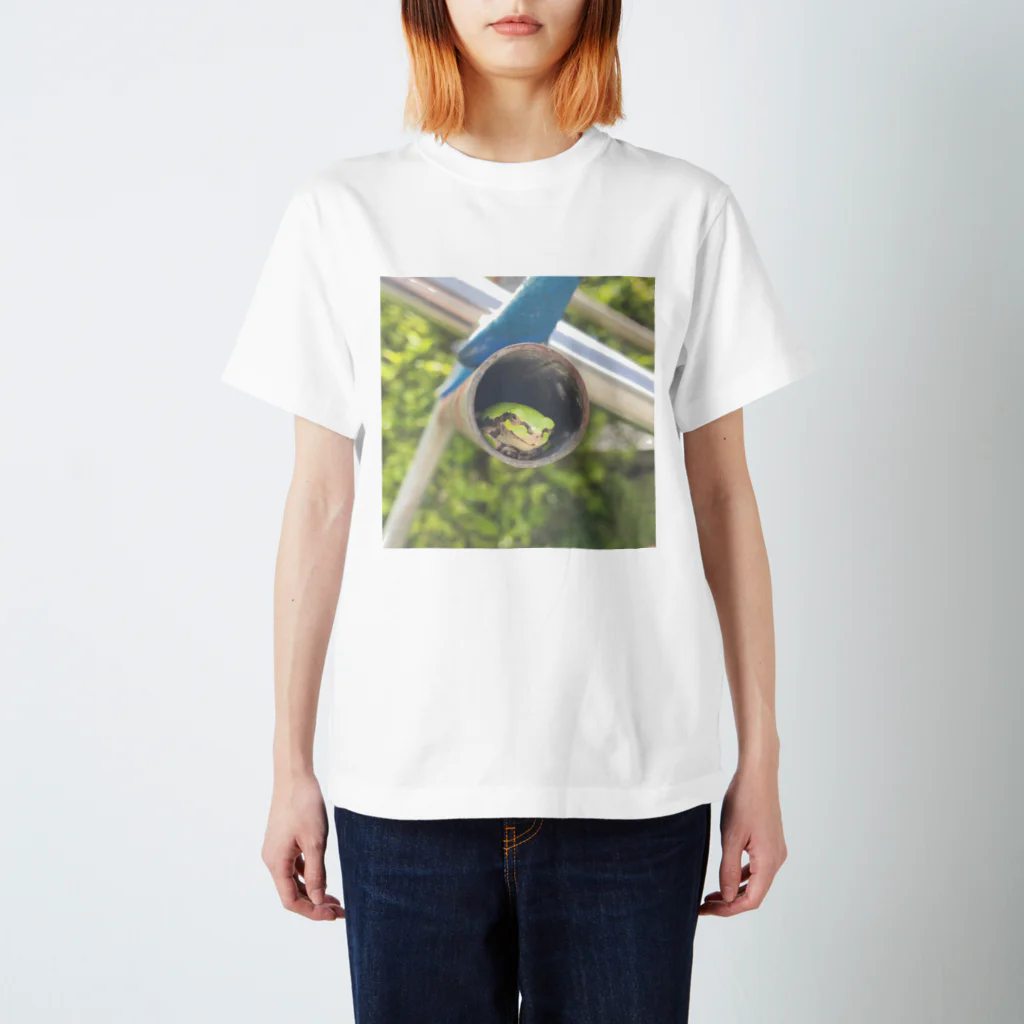 a_ban3の癒しのカエル スタンダードTシャツ