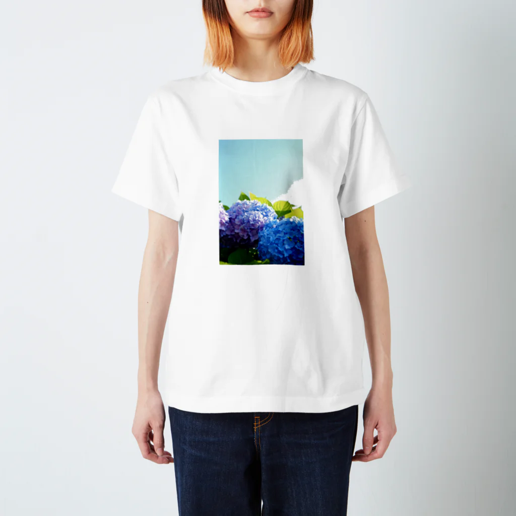 miukissimoの青空と紫陽花 スタンダードTシャツ