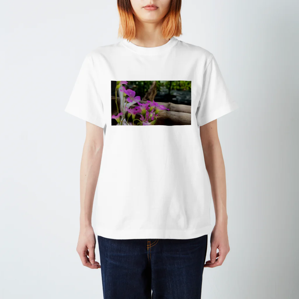 華の庭の紫片喰 Regular Fit T-Shirt
