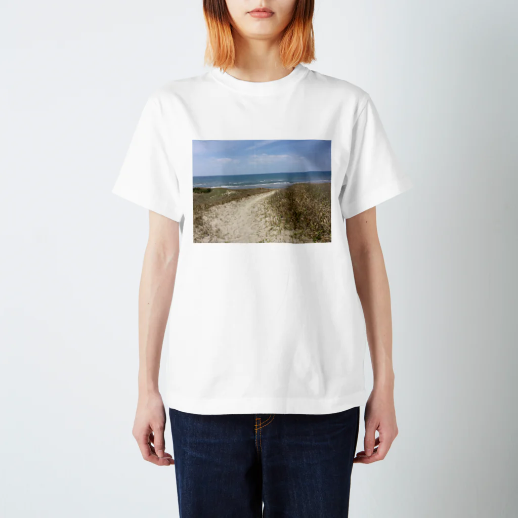 香のどこかの海 Regular Fit T-Shirt