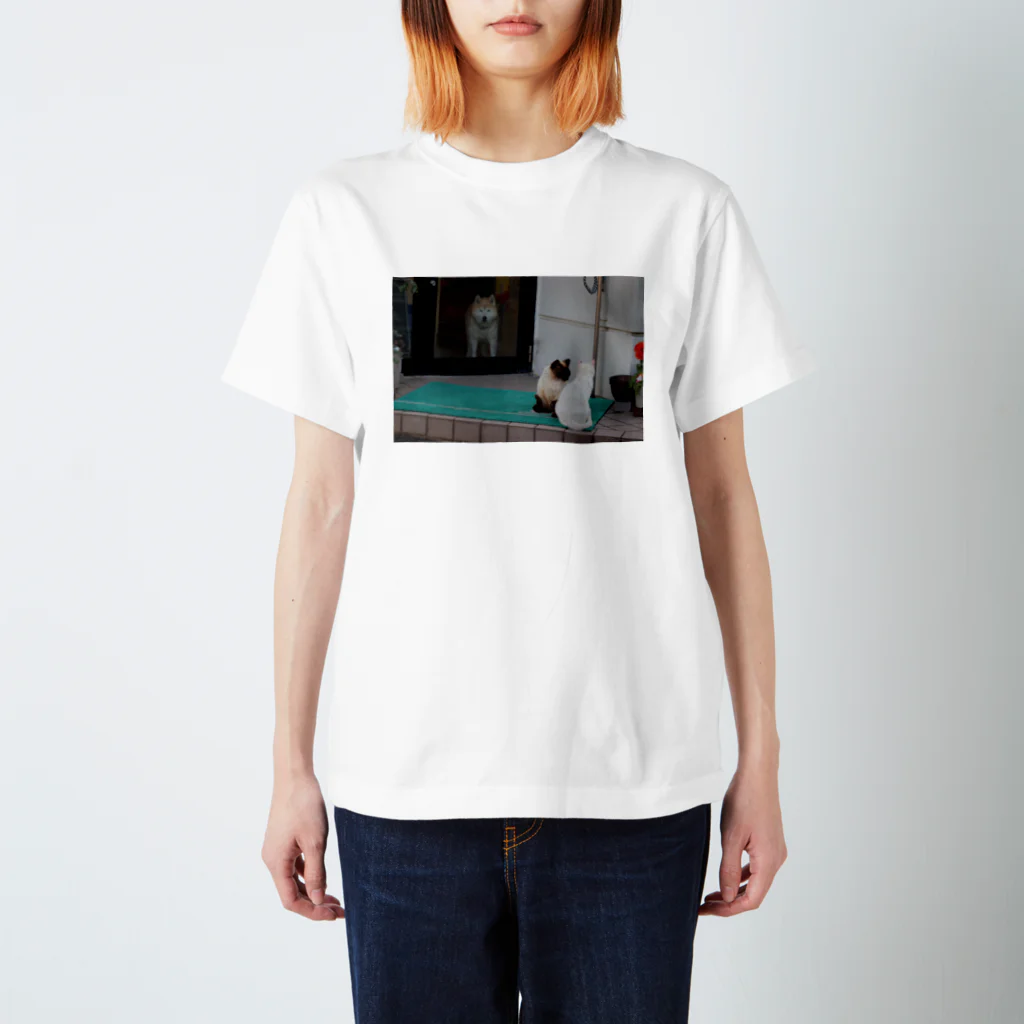 kokumotsu_teikokuのいぬねこT Regular Fit T-Shirt