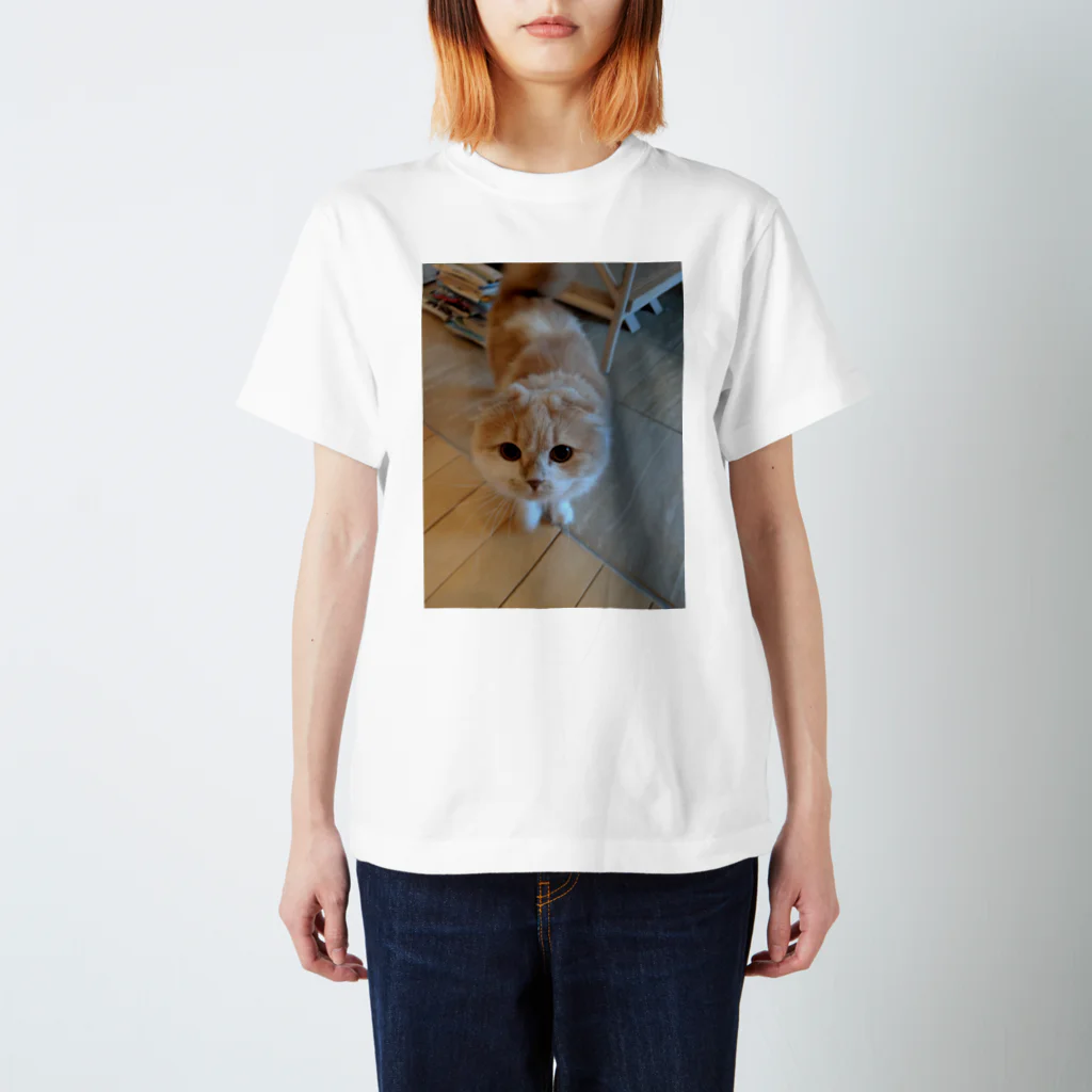 太田荘嗣のねこちゃん Regular Fit T-Shirt