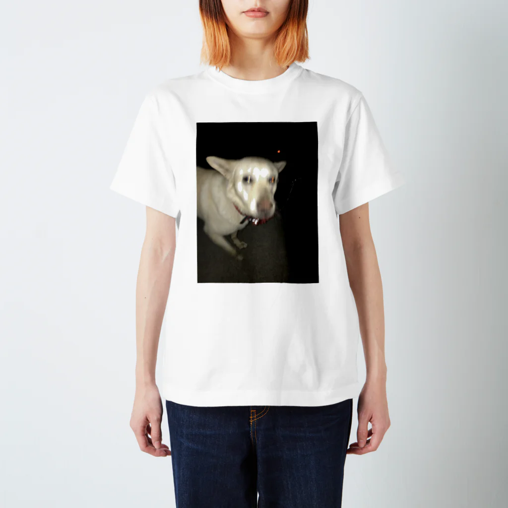 fun_doshiの光速犬 Regular Fit T-Shirt