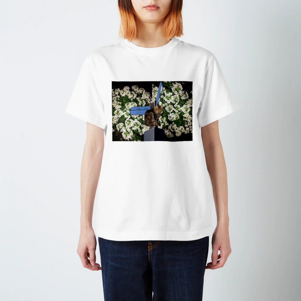 tenshinhanのねこ花 Regular Fit T-Shirt