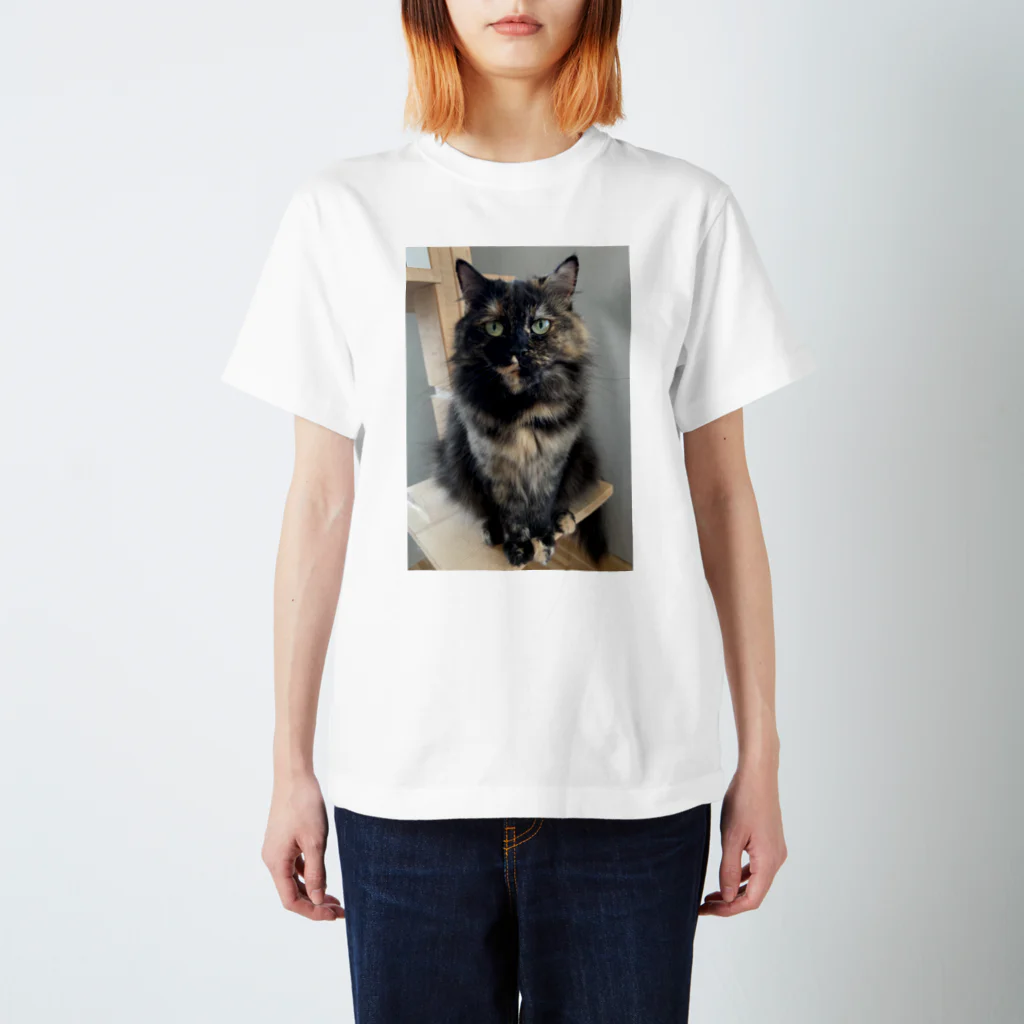 ネコまにあ 【12匹の猫➕うずら】のサビ猫すみれちゃん スタンダードTシャツ