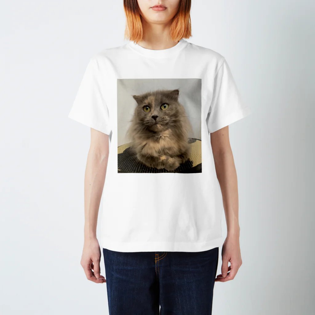 ネコまにあ 【12匹の猫➕うずら】のサビ猫はなちゃん Regular Fit T-Shirt