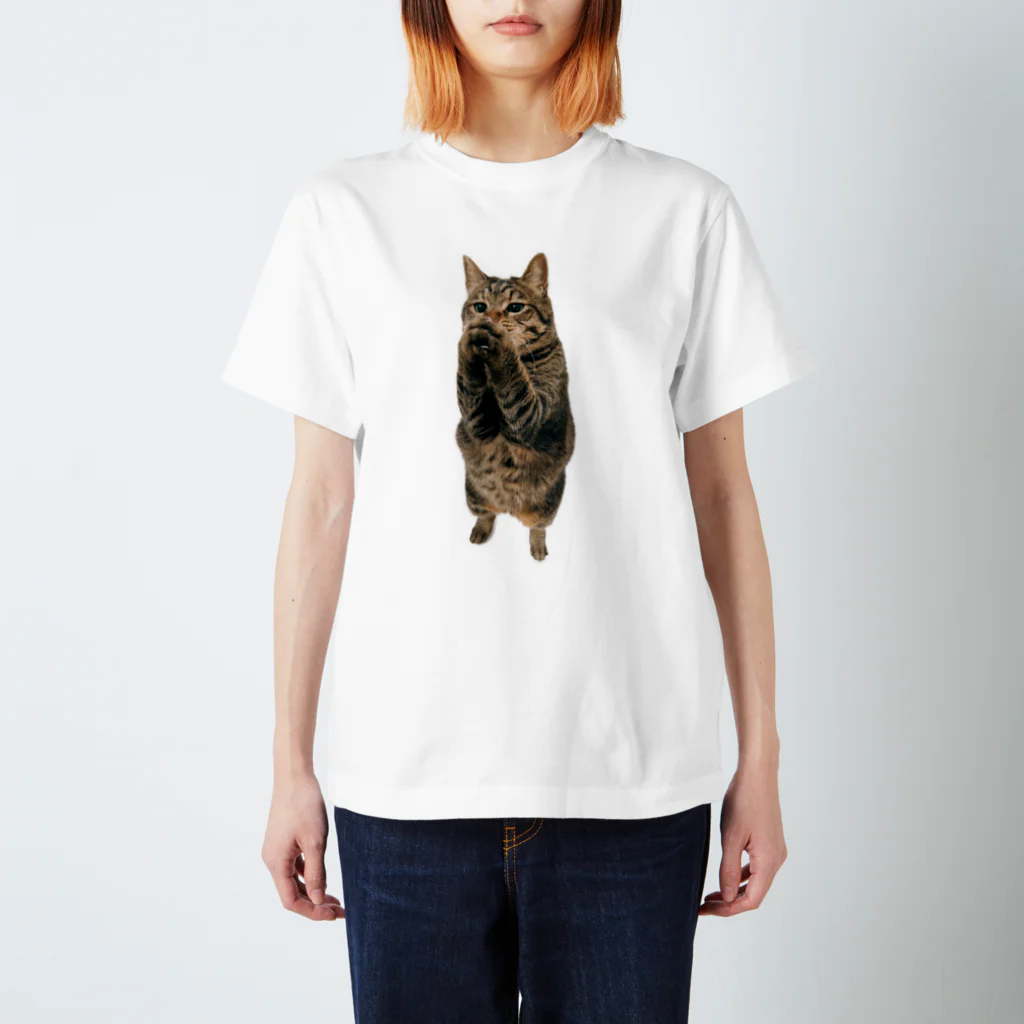 NEKOTORU（ねことる）の祈るキジトラ猫 スタンダードTシャツ