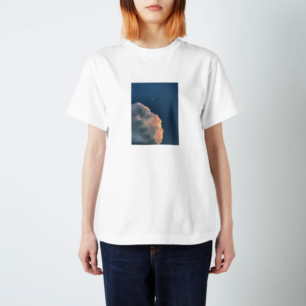 kappiiiiiiiiiiiiiiiの月がええねん Regular Fit T-Shirt