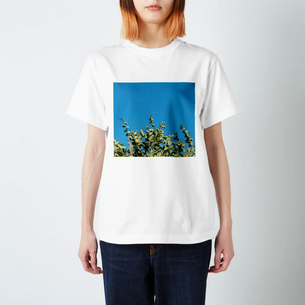 無糖の草 スタンダードTシャツ