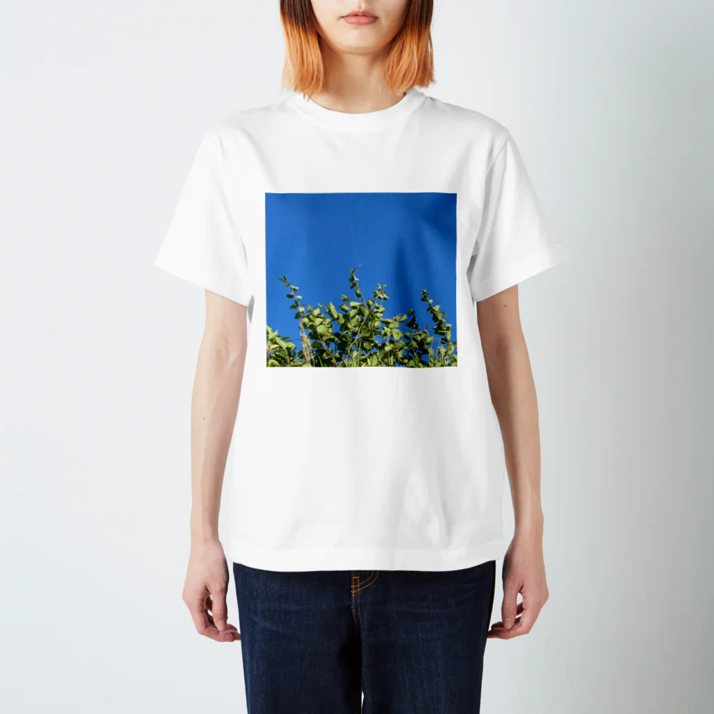 無糖の草 スタンダードTシャツ