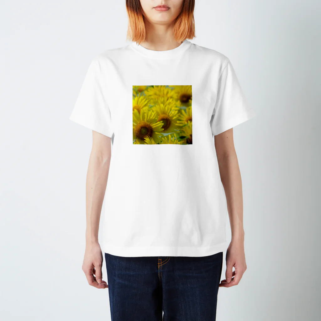 K-ioriの季節の花　ひまわり スタンダードTシャツ