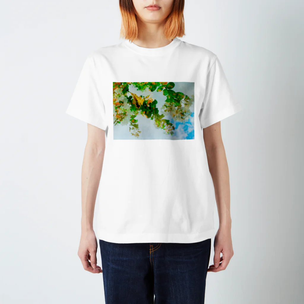 ＊KaO＊イロトリドリのあの空 スタンダードTシャツ