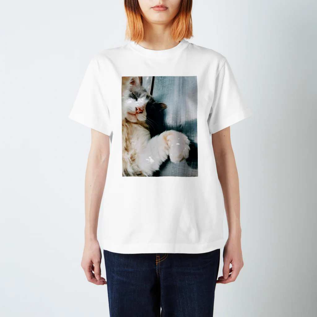 cheap sheep.のゆうわくするぬこ スタンダードTシャツ