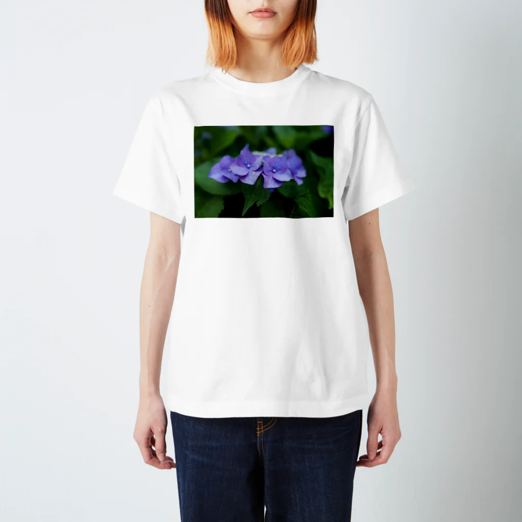 gallery_yukoの紫陽花 スタンダードTシャツ