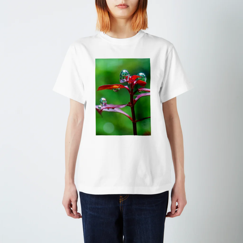 KAERUCAFE SHOPの水草の気泡 Regular Fit T-Shirt