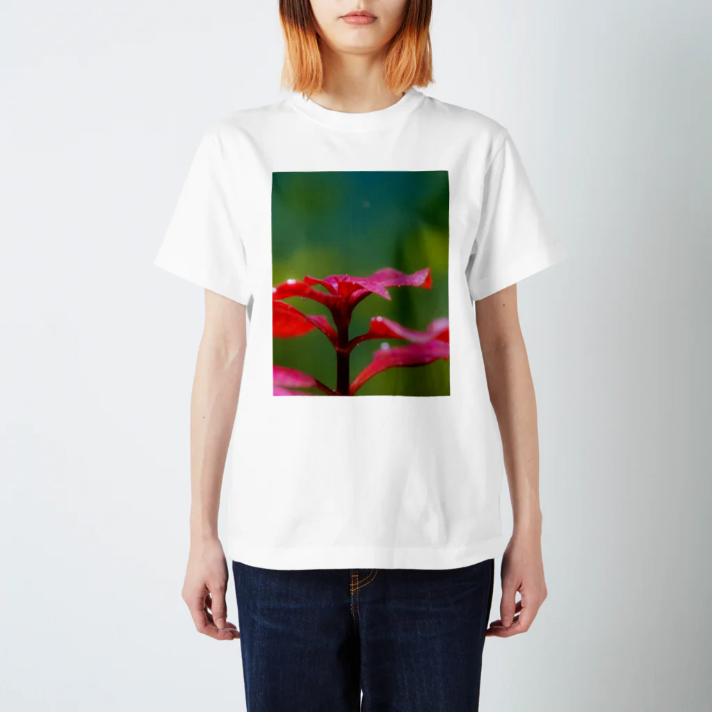 KAERUCAFE SHOPの水草の気泡 Regular Fit T-Shirt