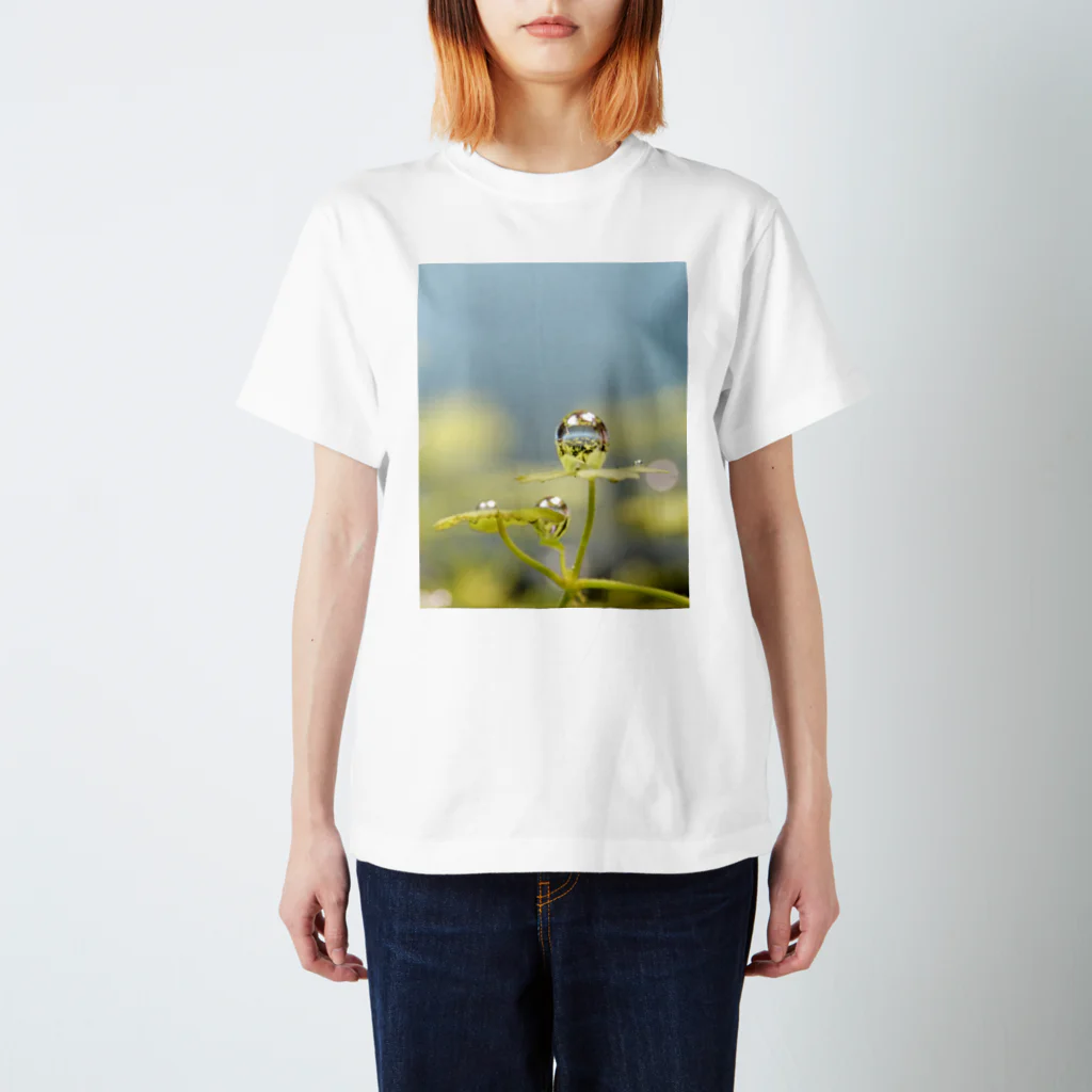 KAERUCAFE SHOPの水草の気泡 Regular Fit T-Shirt