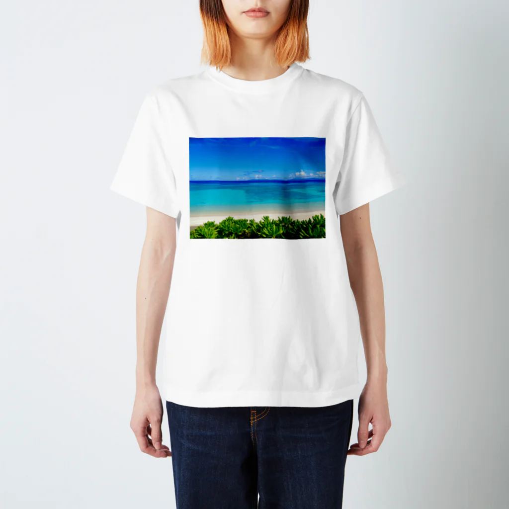 mizuphoto galleryの夏の扉 Regular Fit T-Shirt