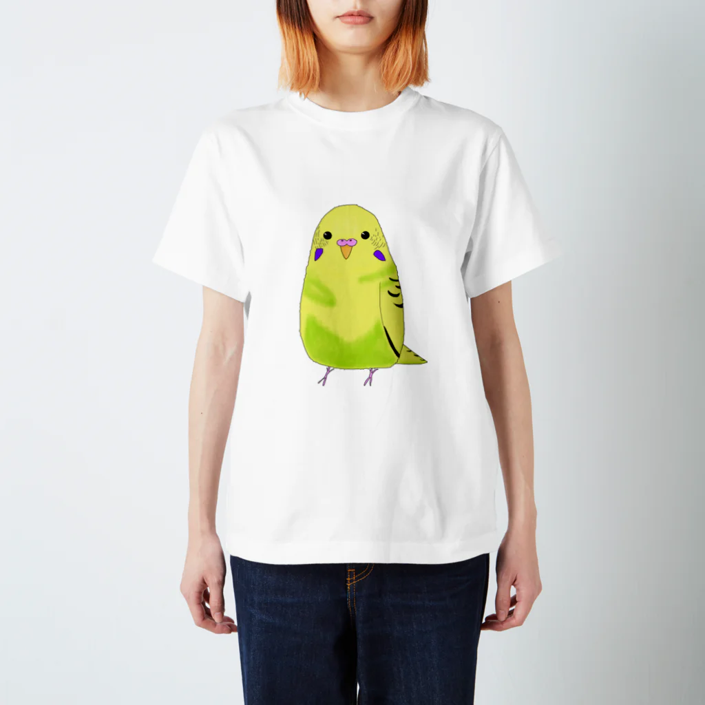 もふもふインコのけいちゃんのくりくりおめめのもふけいちゃん スタンダードTシャツ