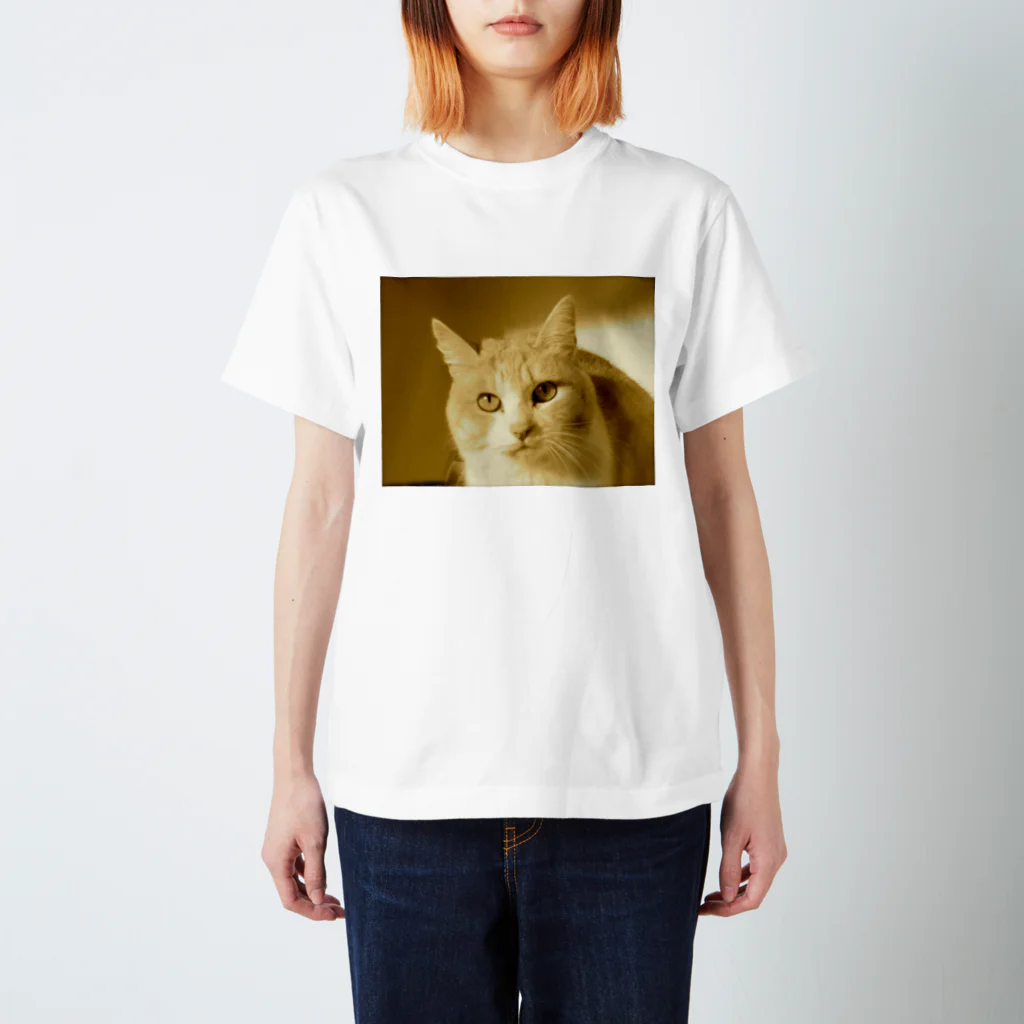 ムエックネの猫 スタンダードTシャツ