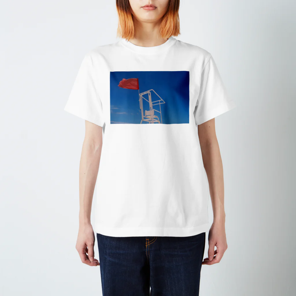 BungaTomaのSky and nothing スタンダードTシャツ