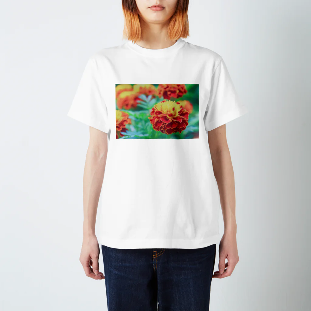 ふじみちゃんのFlower スタンダードTシャツ