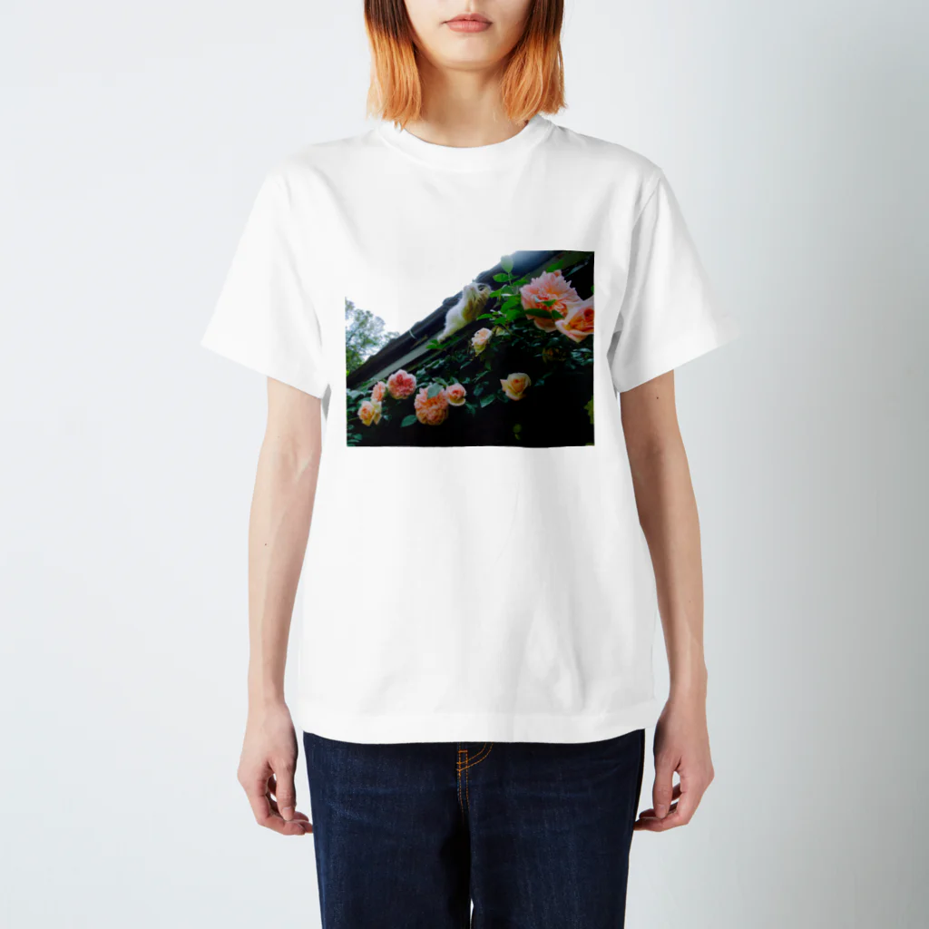 ひょうたん翠のモモちゃんと薔薇。 スタンダードTシャツ