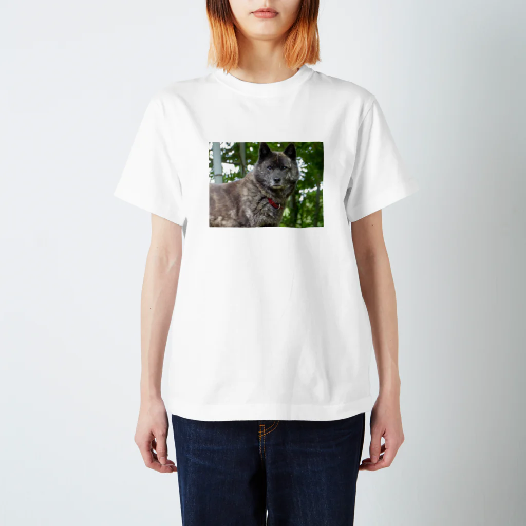 kaiken-momoの甲斐犬もも スタンダードTシャツ