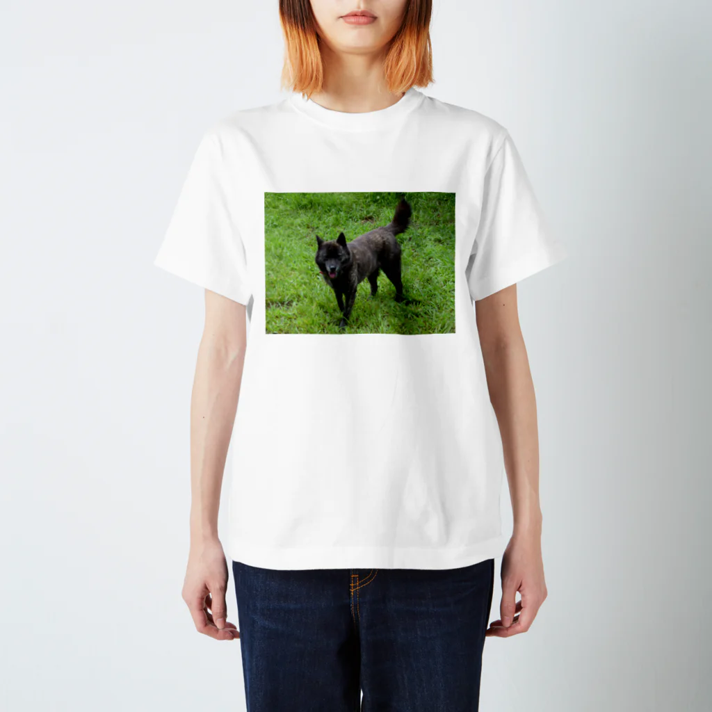 kaiken-momoの甲斐犬もも スタンダードTシャツ