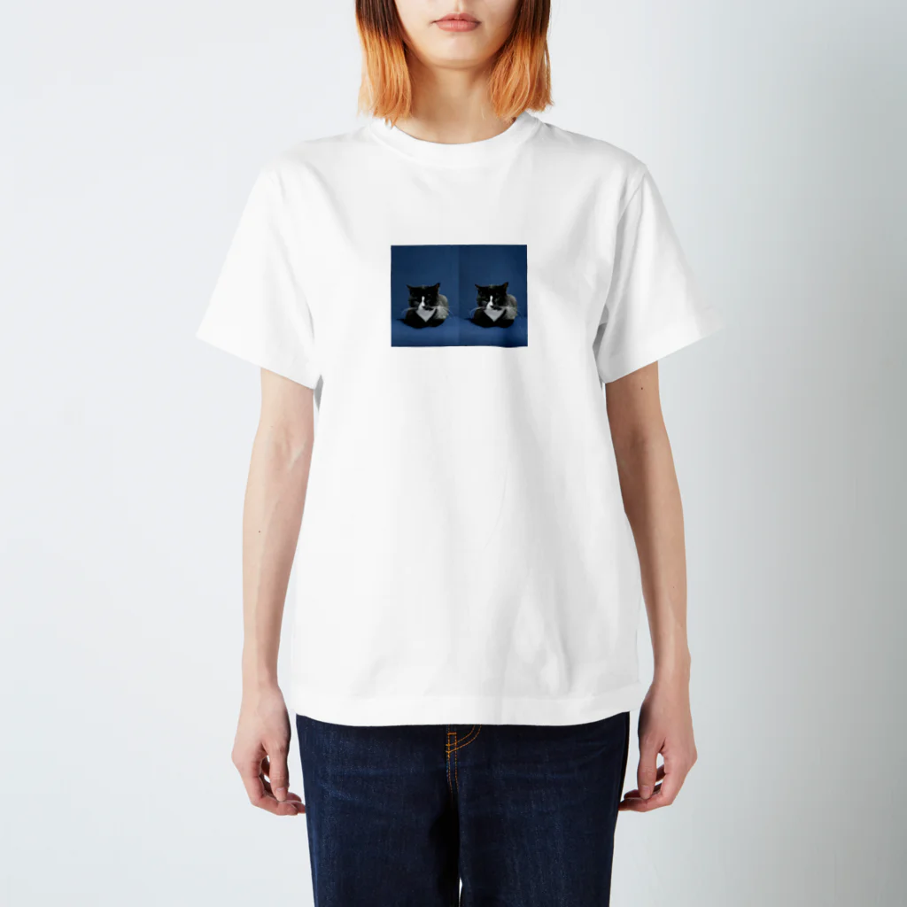 goroのきみ Regular Fit T-Shirt