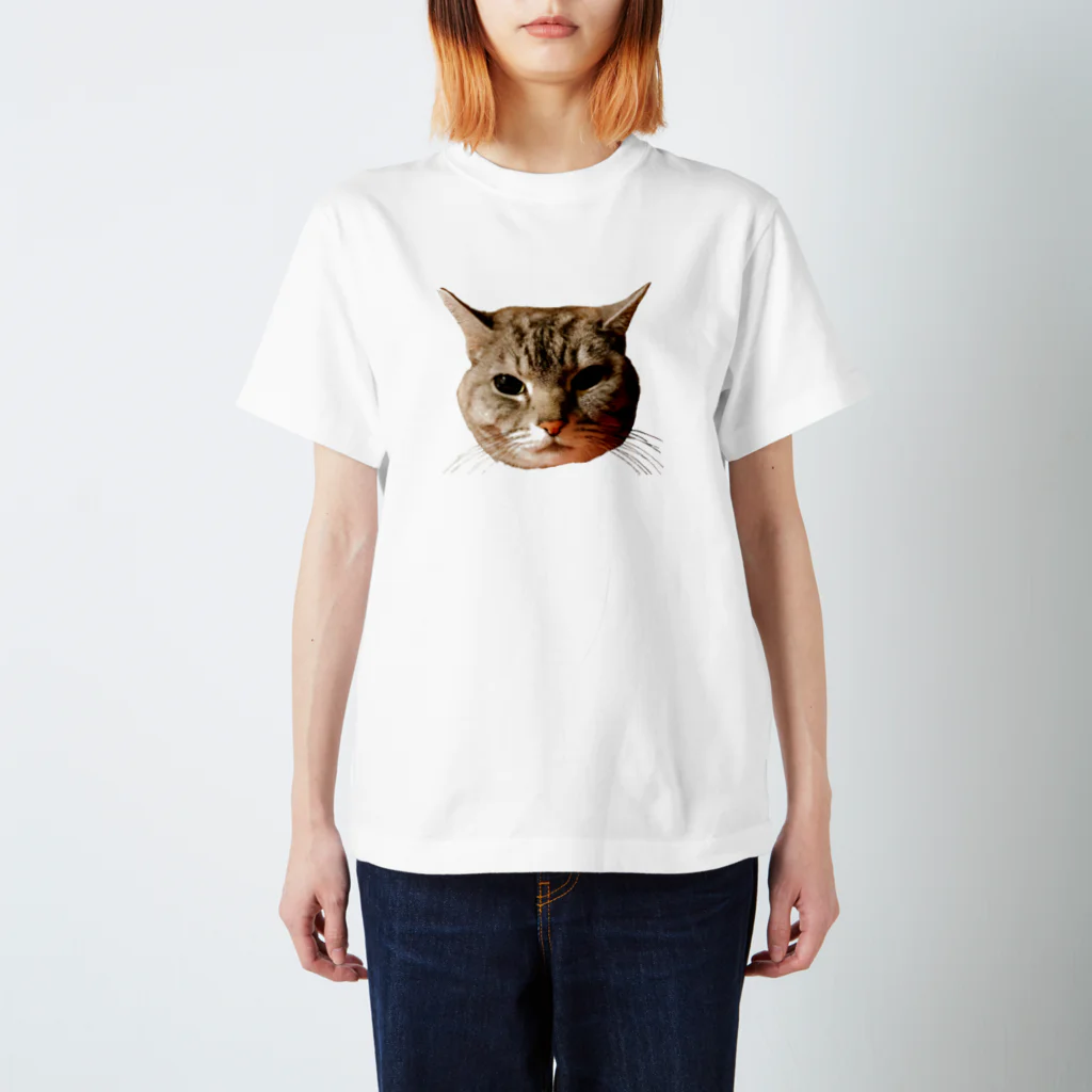 げんきもりもりのぽろにゃん猫のシュラ Regular Fit T-Shirt