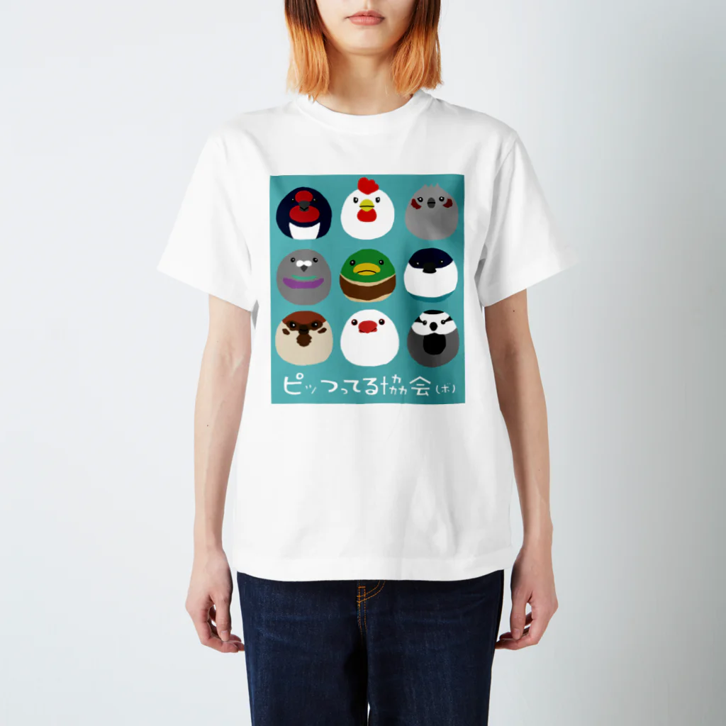 ボのピッつってる協会　公式T（ボ） スタンダードTシャツ