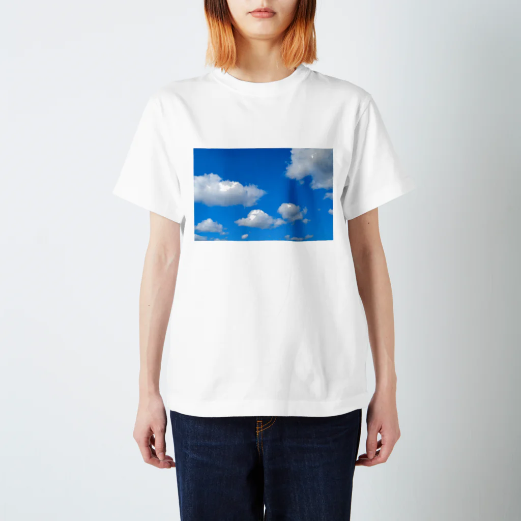 SaNaの空 スタンダードTシャツ