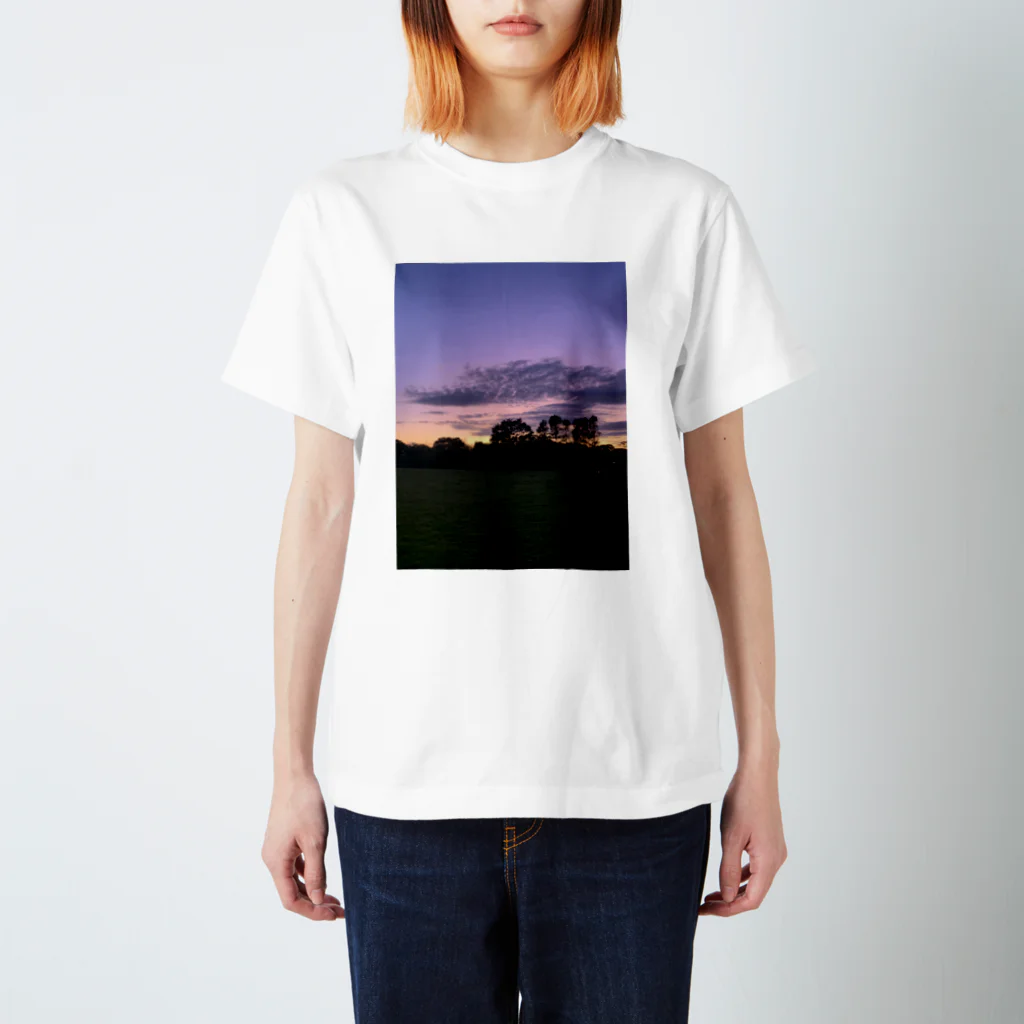 みいたろの外国行きたい Regular Fit T-Shirt