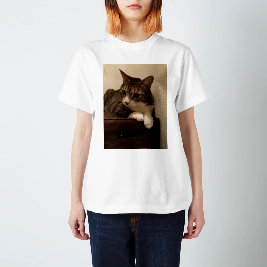 ねこまる広場のらいちくん Regular Fit T-Shirt