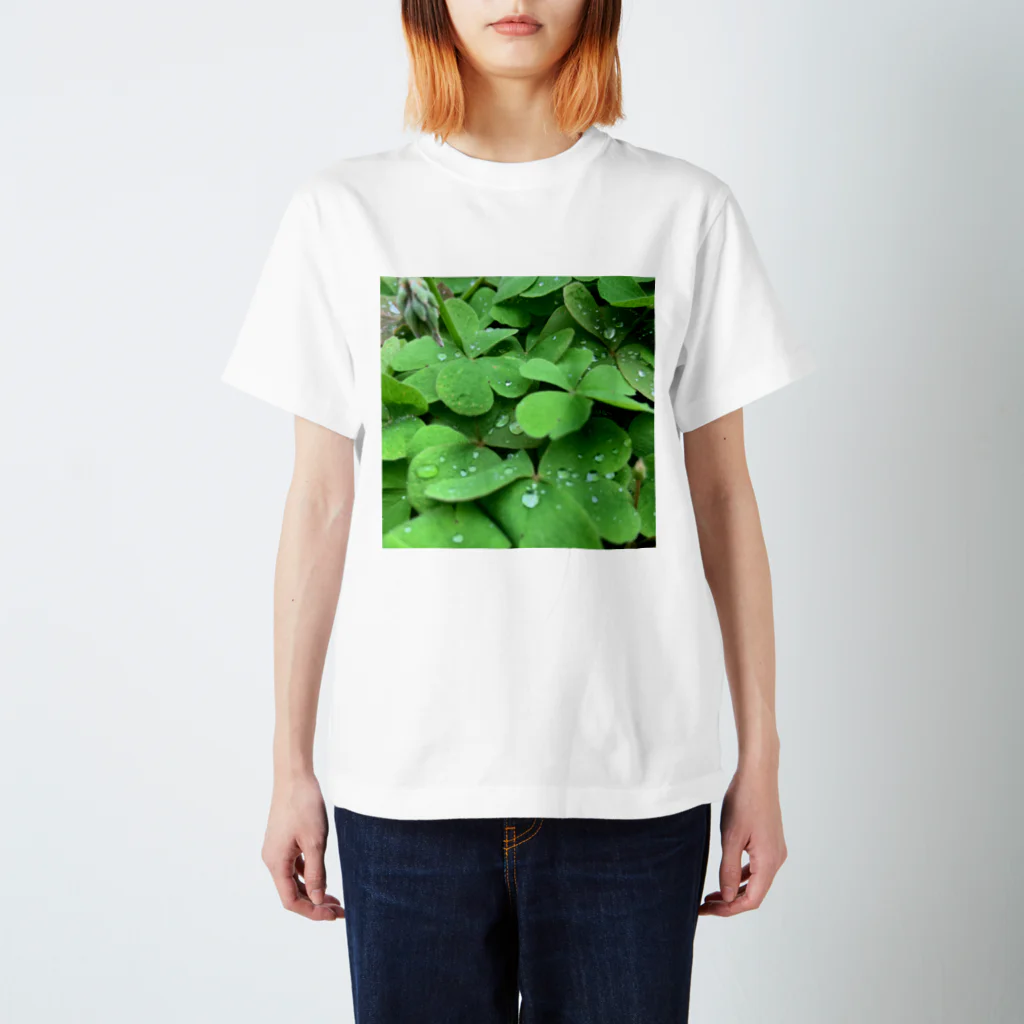 Mo.の🌿 Regular Fit T-Shirt