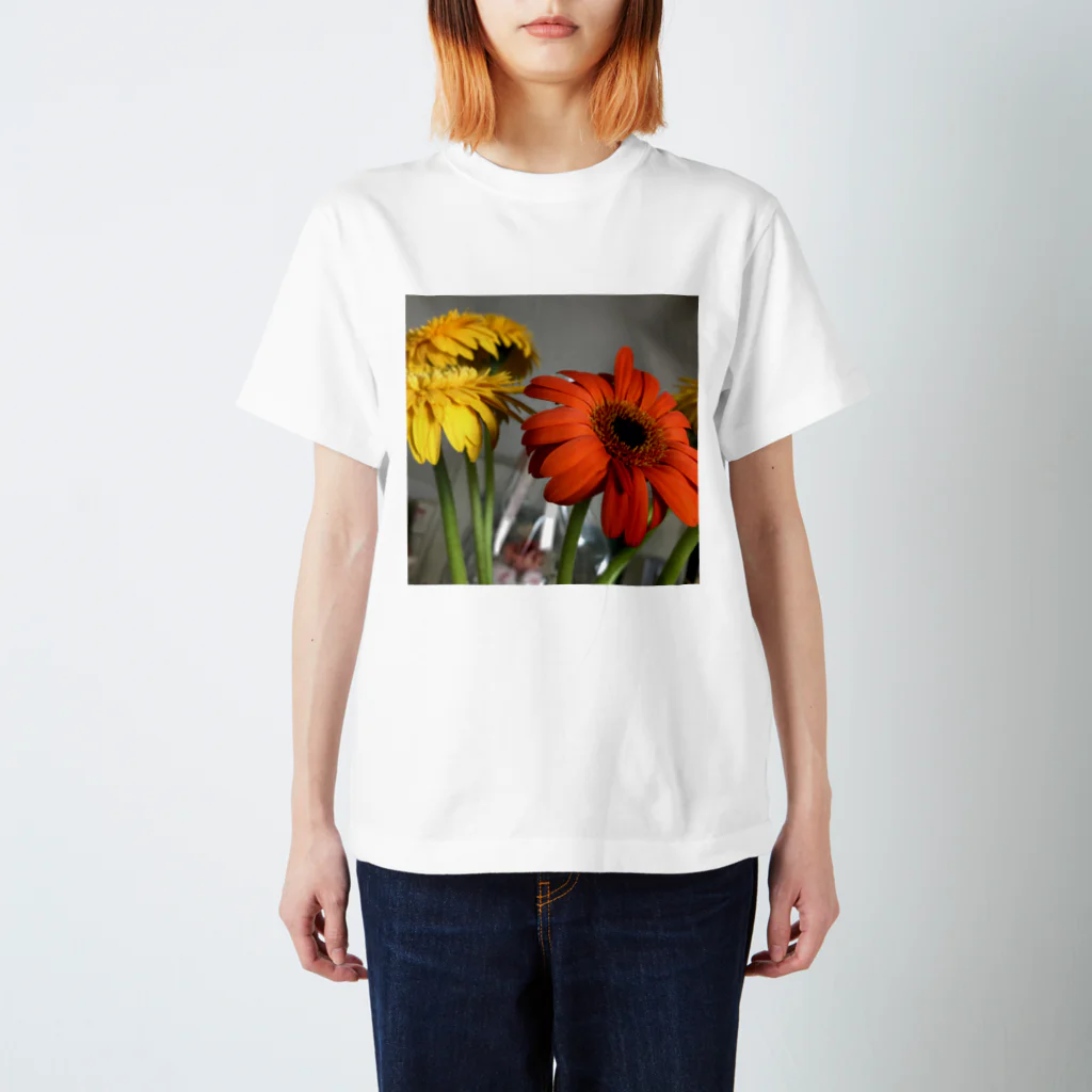 ももたろうの家に飾った花瓶のお花 スタンダードTシャツ