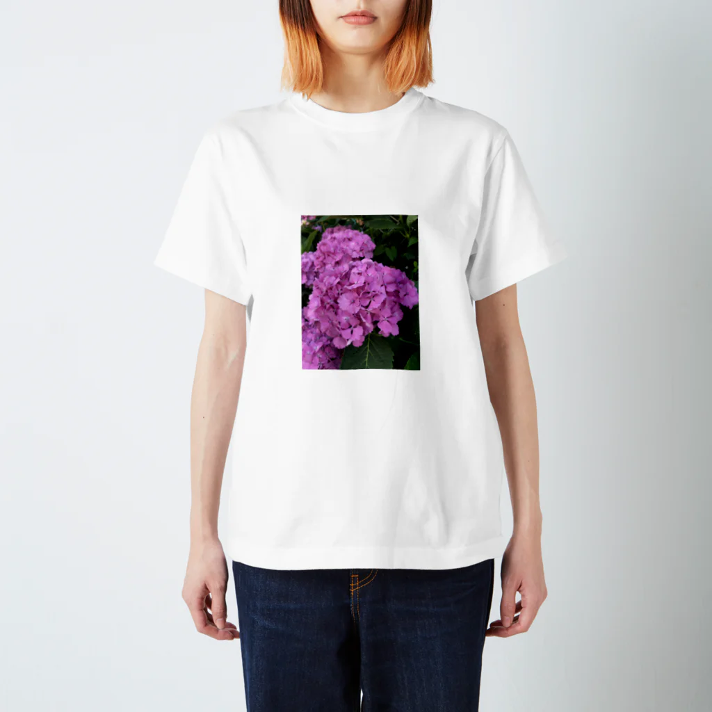 AbocadoのHydrangea スタンダードTシャツ