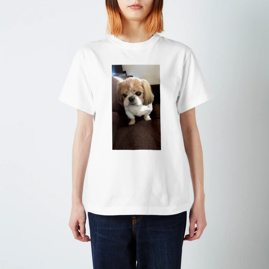 nana05のわんちゃん Regular Fit T-Shirt