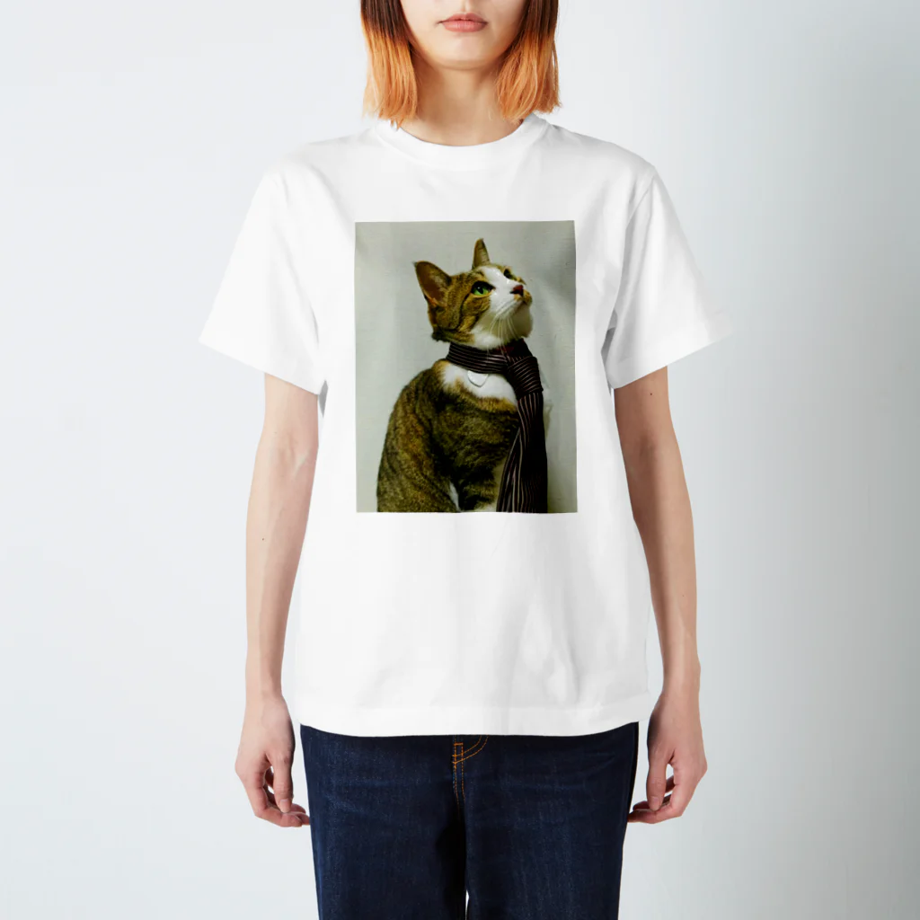 はやしの猫はネクタイを締めてるけど君はTシャツだよね スタンダードTシャツ