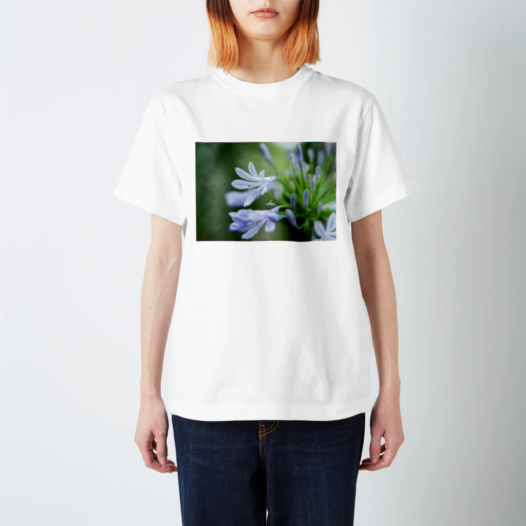 PhotoAtelier AileのAngel of Agapanthus 170702 Regular Fit T-Shirt