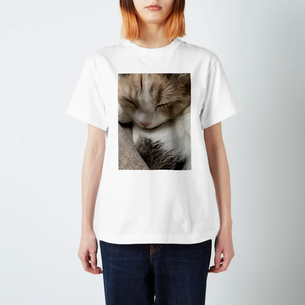 cocorobinのココ猫 Regular Fit T-Shirt