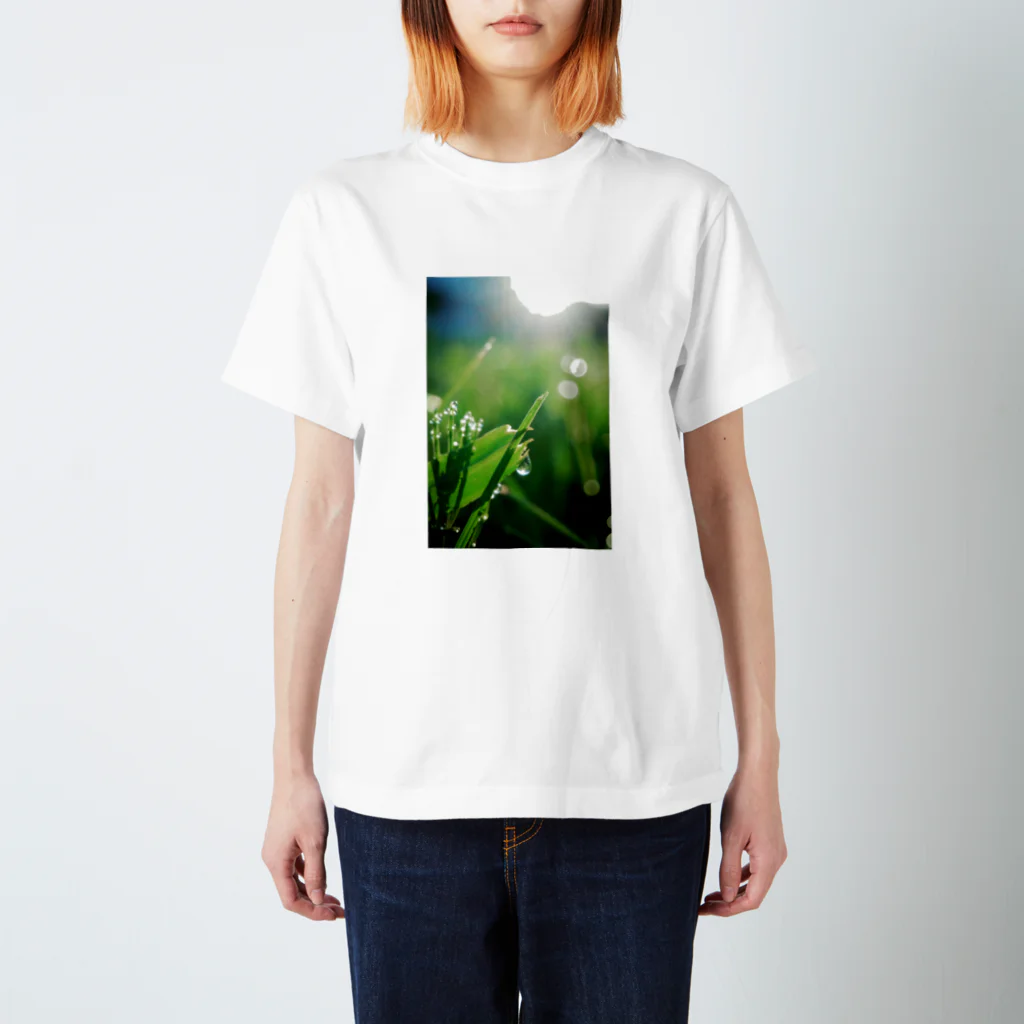 ankilizardの再起の涙 Regular Fit T-Shirt