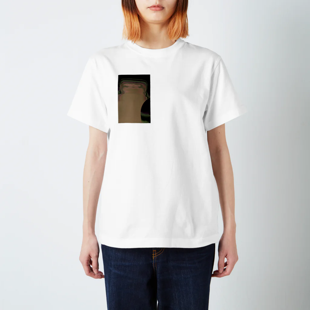 Zenta Mizunoの幽霊 Regular Fit T-Shirt