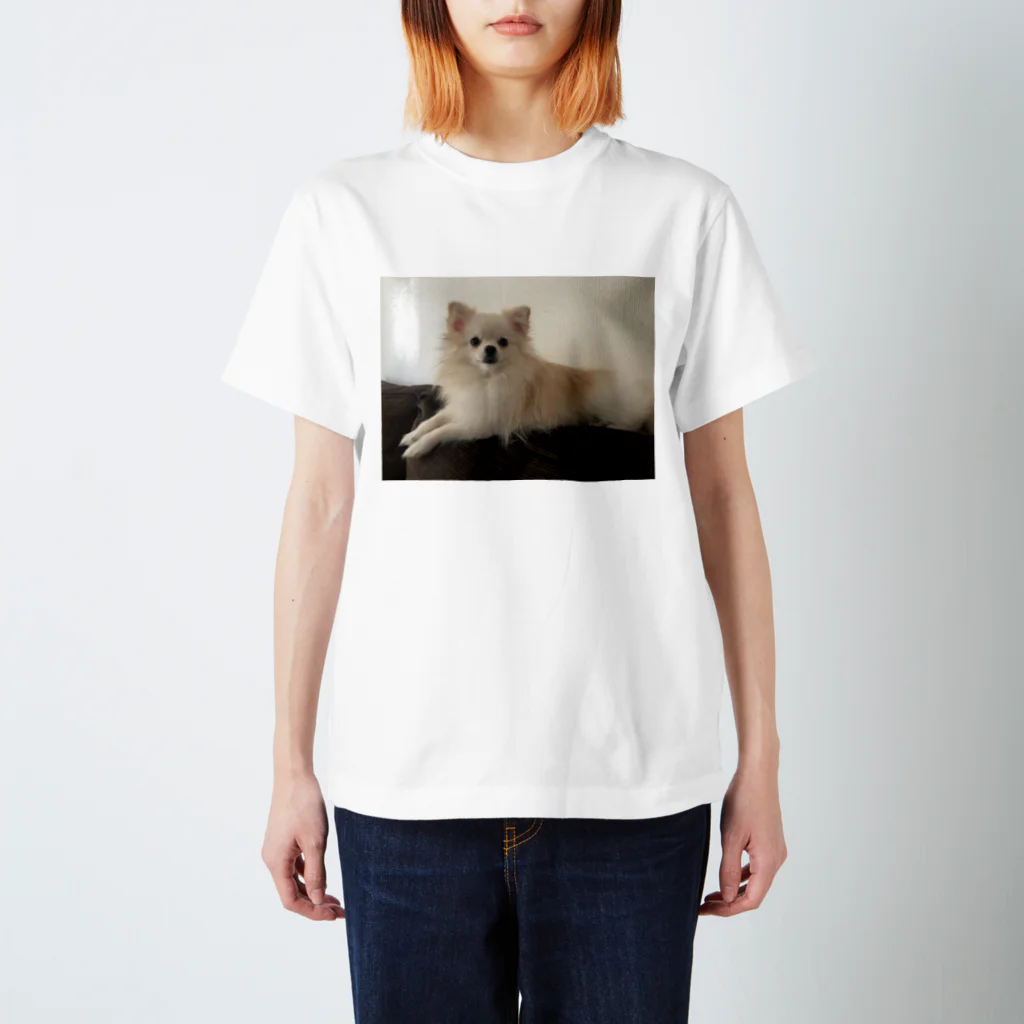 Pomeraniansのスンとするポワル スタンダードTシャツ